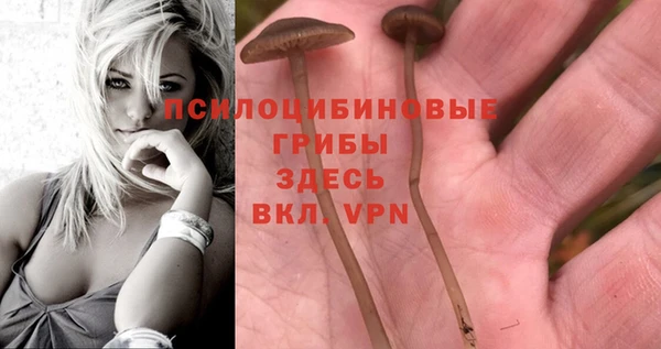 мдпв Абинск